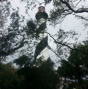 Meet your Posher, Algene